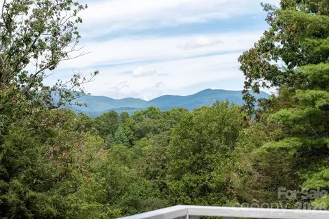 50 Springwood Dr, Asheville, NC 28805