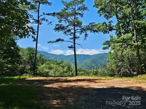 0 Blue Vista 1 Rd #1, Canton, NC 28716