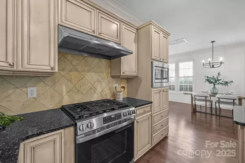 Kitchen - 168 Harper Lee St, Davidson, NC 28036 photo 4 of 4
