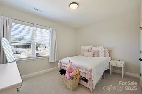 623 Plowshare Way, Clover, SC 29710 photo 33