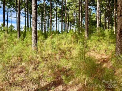 224 Plantation Way, Mount Gilead, NC 27306