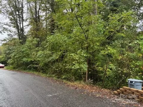 0 White Dogwood Ln, Lake Junaluska, NC 28786