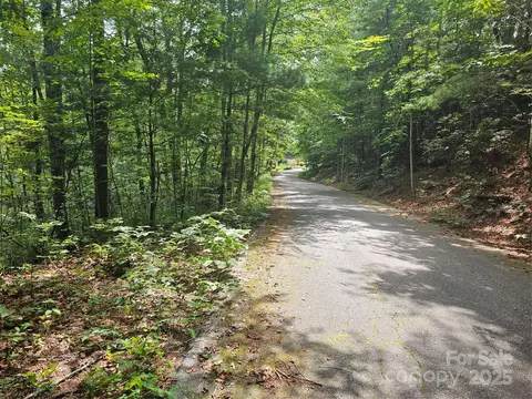 99999 Majestic 25 Trce #25, Hendersonville, NC 28739