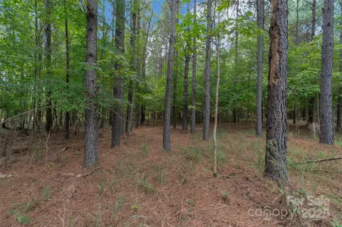 00 Old Windmill Rd, Ridgeway, SC 29130 photo 40