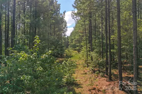 00 Old Windmill Rd, Ridgeway, SC 29130 photo 32