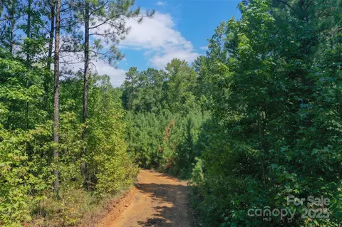 00 Old Windmill Rd, Ridgeway, SC 29130 photo 20