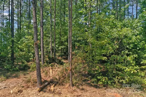 00 Old Windmill Rd, Ridgeway, SC 29130 photo 33