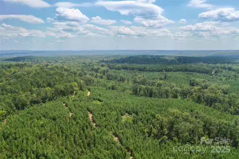 00 Old Windmill Rd, Ridgeway, SC 29130 photo 12