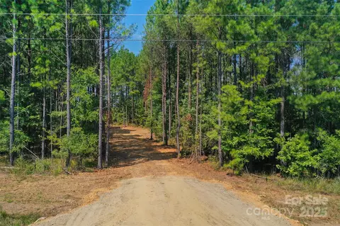 00 Old Windmill Rd, Ridgeway, SC 29130 photo 23