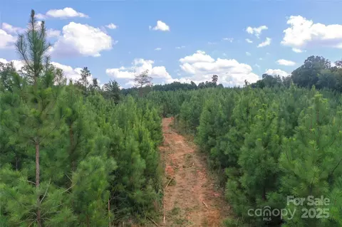 00 Old Windmill Rd, Ridgeway, SC 29130 photo 34