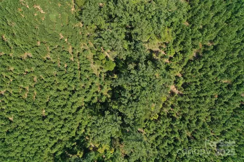 00 Old Windmill Rd, Ridgeway, SC 29130 photo 29