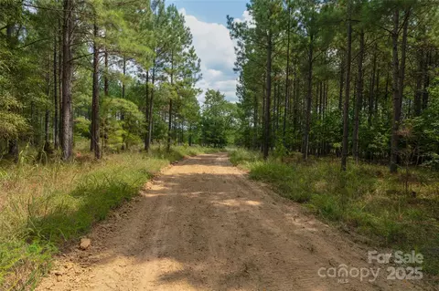 00 Old Windmill Rd, Ridgeway, SC 29130 photo 5