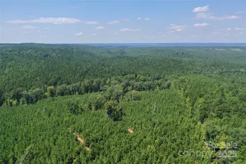 00 Old Windmill Rd, Ridgeway, SC 29130 photo 17