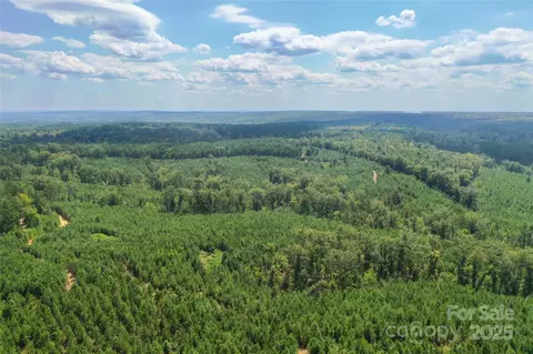 00 Old Windmill Rd, Ridgeway, SC 29130 photo 31