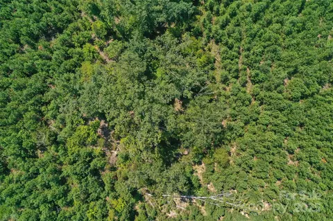 00 Old Windmill Rd, Ridgeway, SC 29130 photo 27