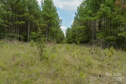 00 Old Windmill Rd, Ridgeway, SC 29130 photo 39