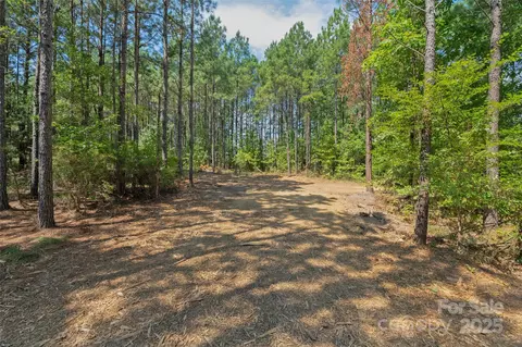 00 Old Windmill Rd, Ridgeway, SC 29130 photo 36