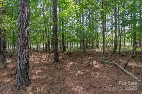 00 Old Windmill Rd, Ridgeway, SC 29130 photo 41