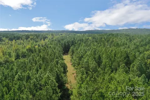 00 Old Windmill Rd, Ridgeway, SC 29130 photo 13