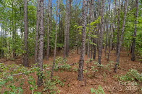 00 Old Windmill Rd, Ridgeway, SC 29130 photo 46
