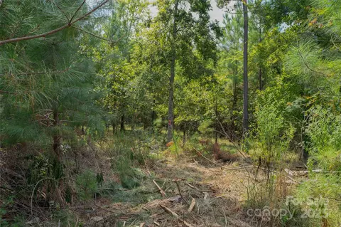 00 Old Windmill Rd, Ridgeway, SC 29130 photo 43