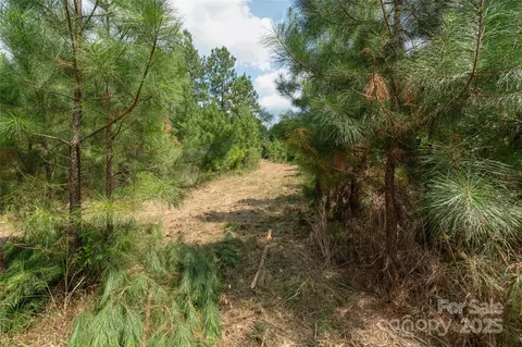 00 Old Windmill Rd, Ridgeway, SC 29130 photo 44