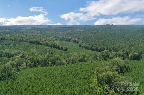 00 Old Windmill Rd, Ridgeway, SC 29130 photo 7