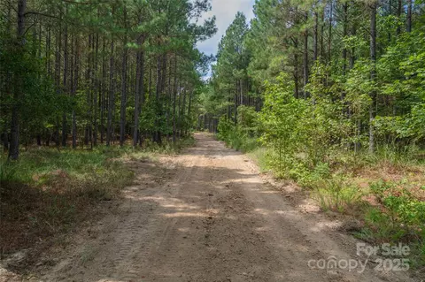 00 Old Windmill Rd, Ridgeway, SC 29130 photo 42