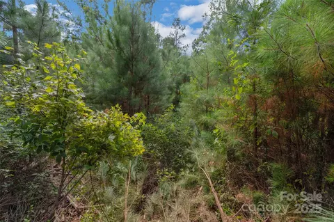00 Old Windmill Rd, Ridgeway, SC 29130 photo 45