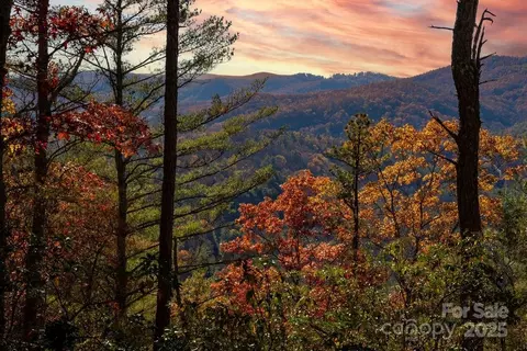 Morgan Tract Ii Drive #TRACT II, Penrose, NC 28766