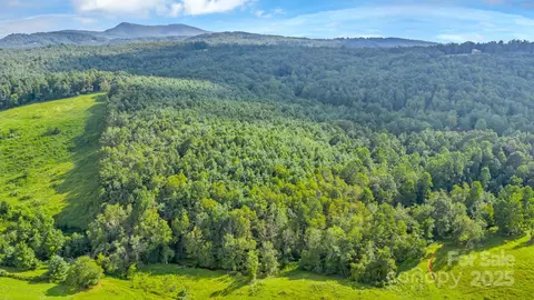 Murphy Bend Road, Ennice, NC 28623 photo 37
