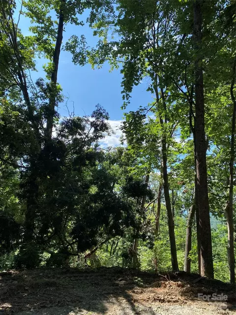 0 Winesap 81 Blvd #81, Lake Lure, NC 28746