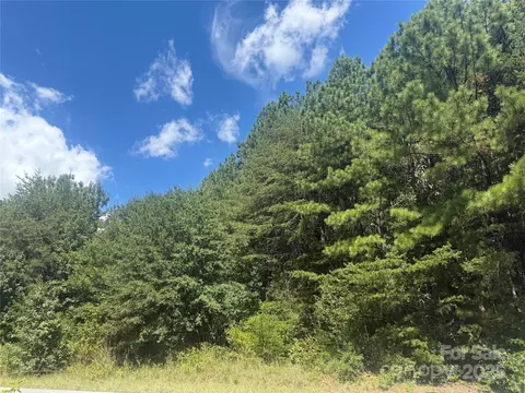 #21 Windy Pine Circle #21, Denver, NC 28037 photo 3