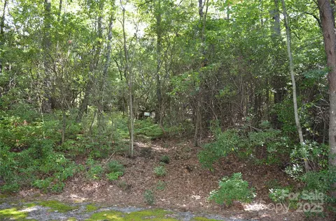 Galax 9 Lane #9, Brevard, NC 28712