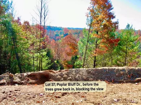 Poplar Bluff Se 37 Drive #37, Lenoir, NC 28645