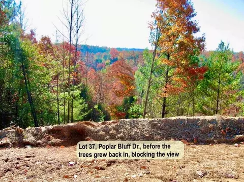 Poplar Bluff Se 37 Drive #37, Lenoir, NC 28645