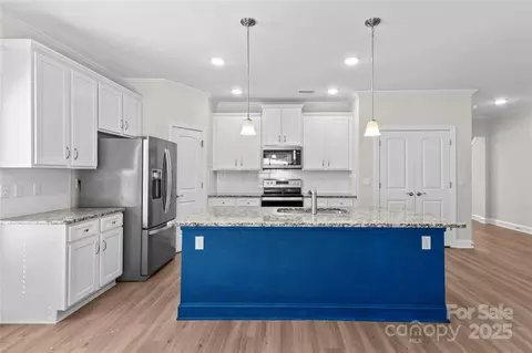 132 Tanner Loop, Troutman, NC 28166 photo 21