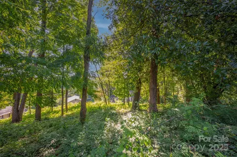 00 Hillside Ct, Tryon, NC 28782 photo 5