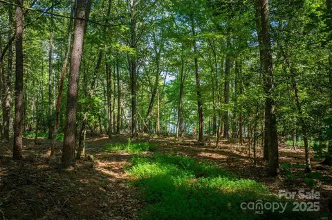 2205 Black Forest 28 Dr #28, Marion, NC 28752 photo 16