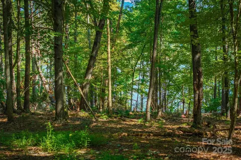 2205 Black Forest 28 Dr #28, Marion, NC 28752 photo 17
