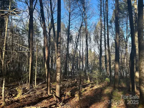 2205 Black Forest 28 Dr #28, Marion, NC 28752 photo 19