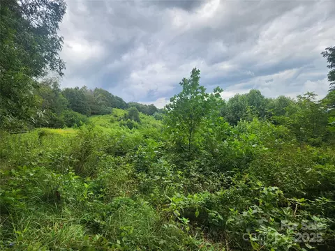 Other - 1925 S Fork Rd, Marshall, NC 28753 photo 31 of 32
