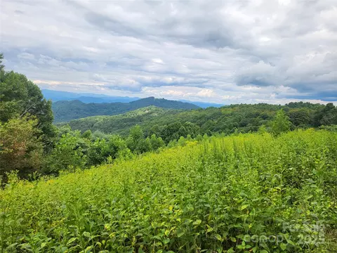 Other - 1925 S Fork Rd, Marshall, NC 28753 photo 18 of 32
