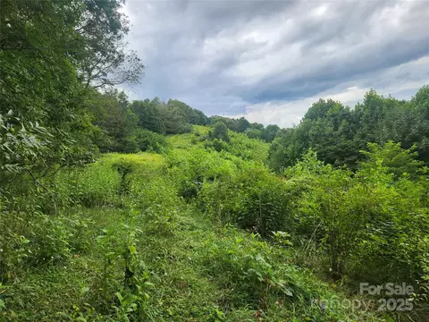 Other - 1925 S Fork Rd, Marshall, NC 28753 photo 32 of 32
