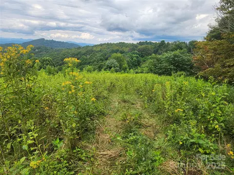 Other - 1925 S Fork Rd, Marshall, NC 28753 photo 21 of 32