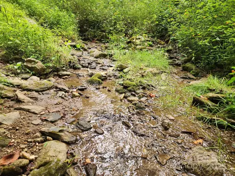 Other - 1925 S Fork Rd, Marshall, NC 28753 photo 13 of 32