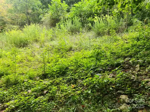 Other - 1925 S Fork Rd, Marshall, NC 28753 photo 12 of 32