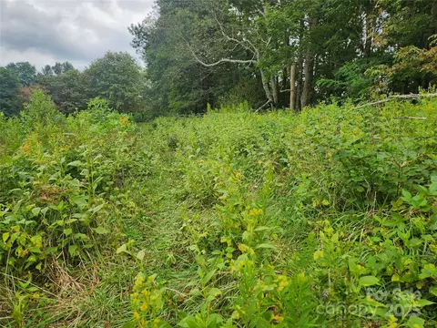 Other - 1925 S Fork Rd, Marshall, NC 28753 photo 28 of 32
