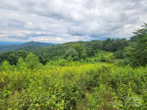 Other - 1925 S Fork Rd, Marshall, NC 28753 photo 25 of 32