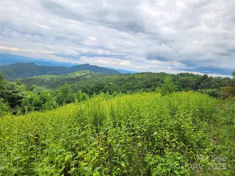 Other - 1925 S Fork Rd, Marshall, NC 28753 photo 17 of 32